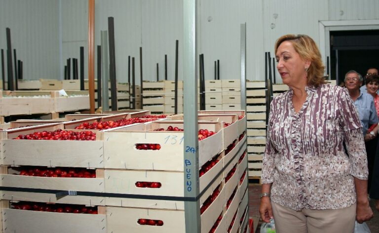 Soriano: “Castilla-La Mancha cuenta con uno de los mejores aceites de oliva del mundo”