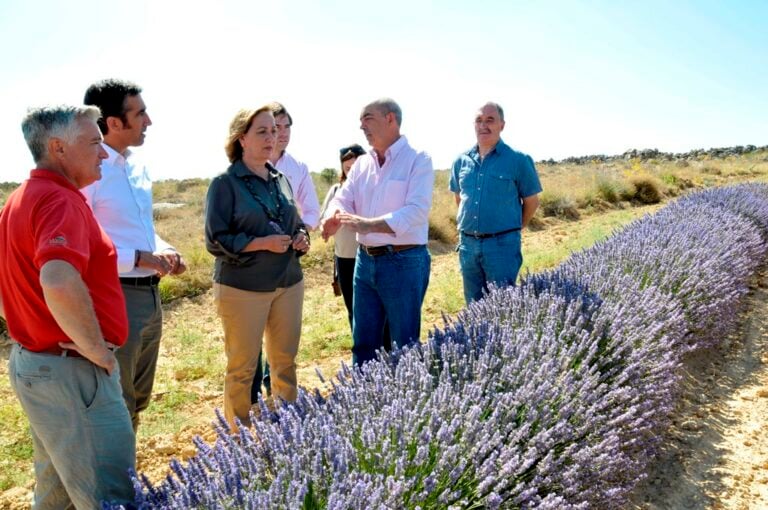 Soriano anuncia la concesión de 816.000 euros para 129 empresarios apícolas de la región