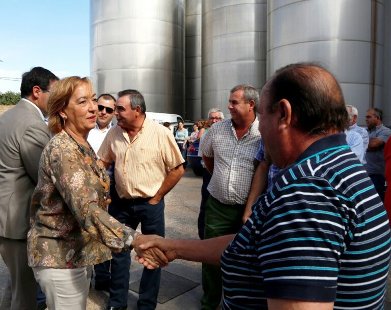 Soriano destaca el buen desarrollo de la vendimia en Castilla-La Mancha