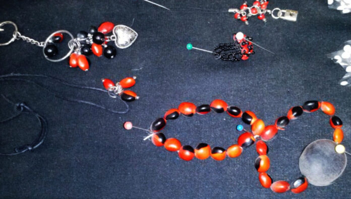 2014102711 Sanidad y Asuntos Sociales alerta de la peligrosidad de cierta bisutería y abalorios realizados con semillas tóxicas (1)