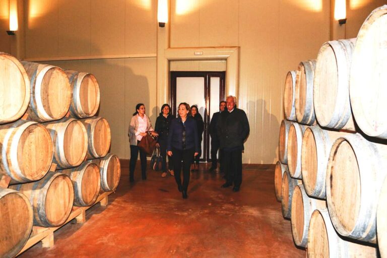 Soriano: “El Gobierno regional no permitirá que el PSOE esconda y margine al vino de Castilla-La Mancha”
