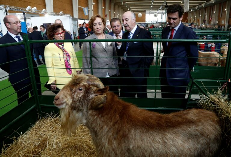 Soriano avanza que se duplicarán las ayudas acopladas al sector caprino de Castilla-La Mancha