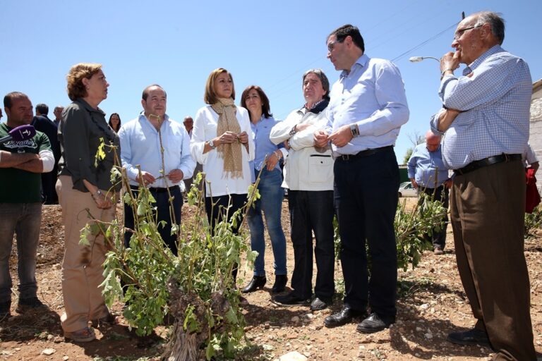 Cospedal anuncia un paquete de medidas para los agricultores afectados por la tormenta de granizo