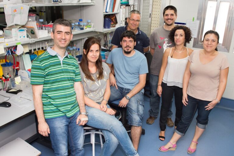 Parapléjicos participa en un proyecto europeo para el desarrollo de neuroprótesis biocompatibles