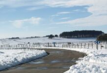 Interrumpidas 40 rutas escolares con 600 alumnos afectados en toda Castilla-La Mancha