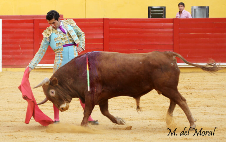 Nuevo triunfo de Antonio Linares