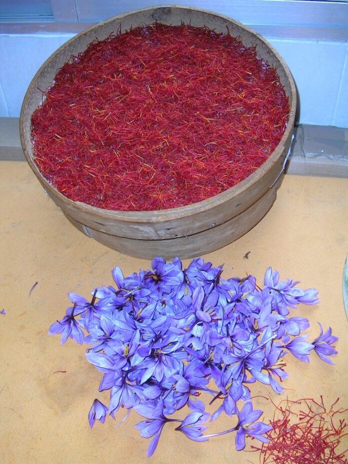 Azafrán mondado