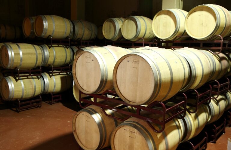 40 bodegas ya se han sumado a la Jornada de Puertas Abiertas de la I Cumbre Internacional del Vino