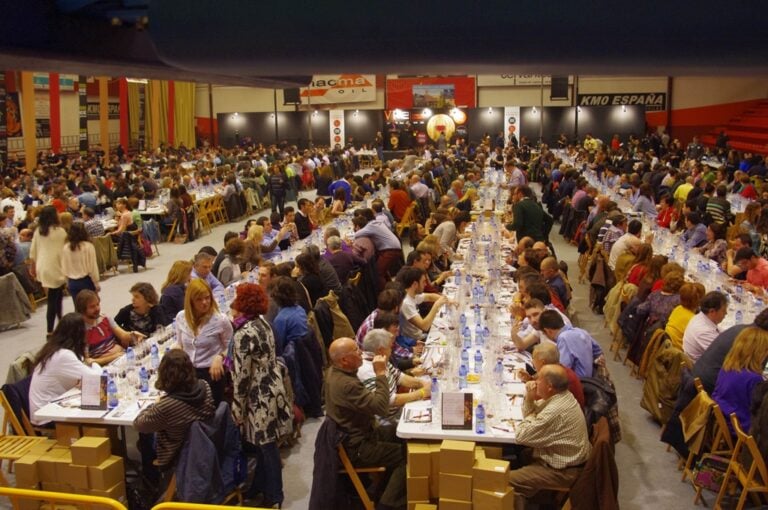 ‘Añil 2014’ de Vinícola de Tomelloso y ‘Ruda Ensamblaje 2012’ de Viña Ruda, Quijotes de Plata del VI Concurso de Vinos ‘Tierra del Quijote’
