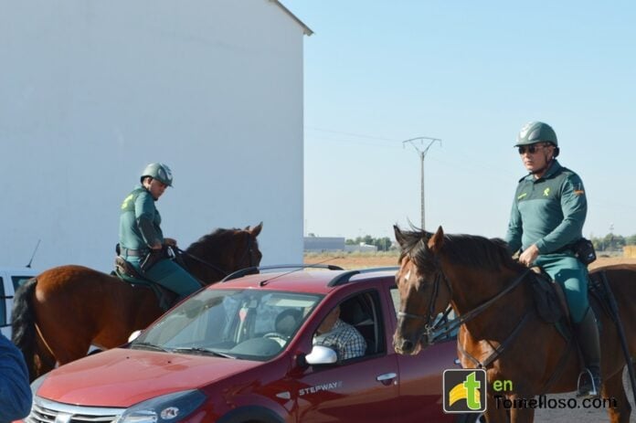 Destacamento caballería 17