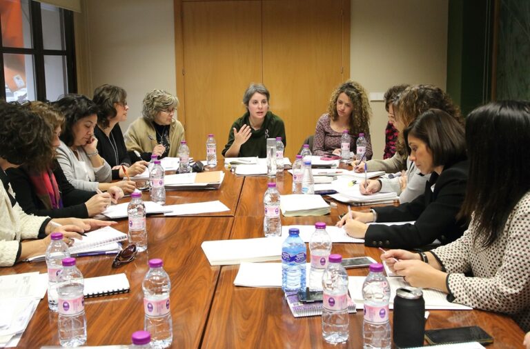 El Instituto de la Mujer se reúne para definir las líneas prioritarias de acción para este año