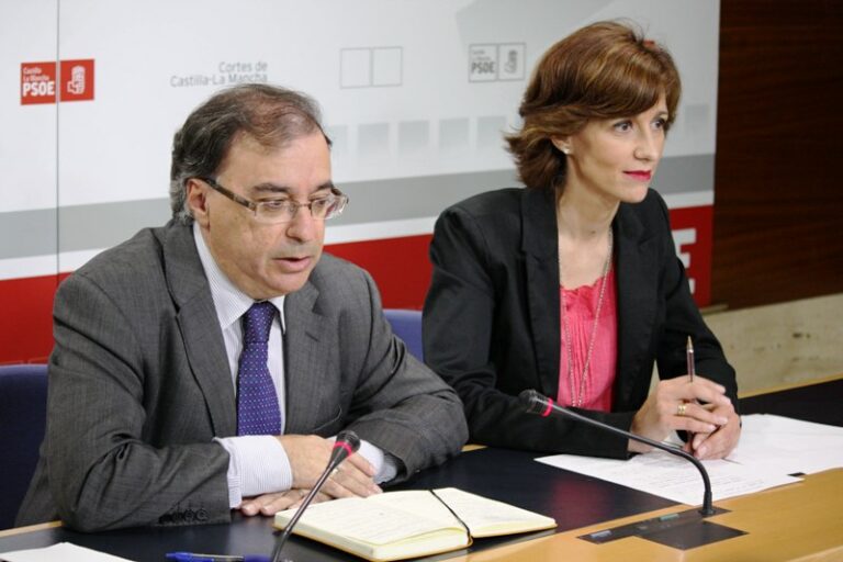Mora: ”El nuevo modelo sanitario de Cospedal consiste en privatizar unos hospitales en partes”