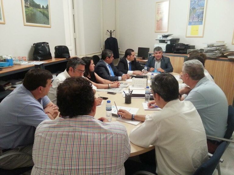 Cotillas asegura que el Grupo Popular será “más cercano que nunca” con todos los municipios de la provincia