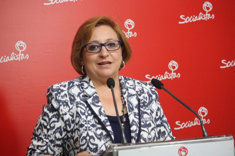 El PSOE tiene “miedo” de que Cospedal deje el presupuesto “tiritando”