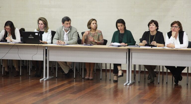 Estévez informa al Consejo Escolar de las medidas puestas en marcha desde la Consejería para este inicio de curso