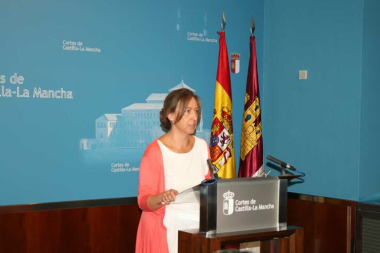 Guarinos denuncia que la única responsabilidad de que el futuro de Elcogas no esté comprometido la tendrá Page
