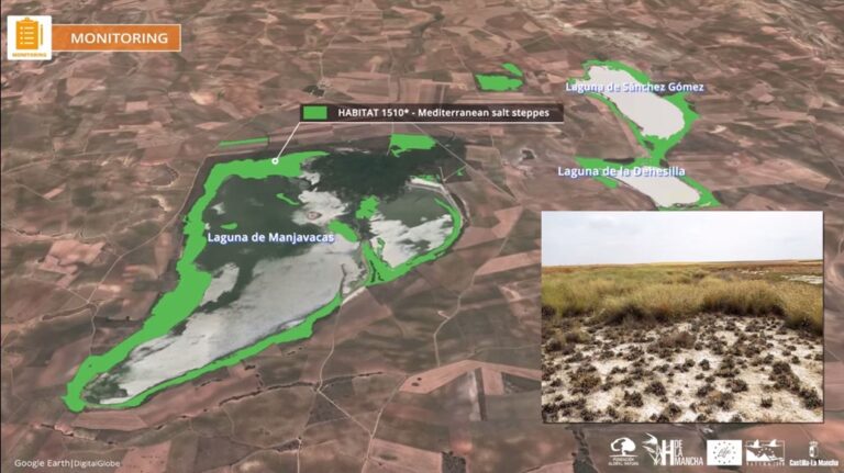 VÍDEO: Los humedales manchegos a vista de pájaro gracias al geoperiodismo