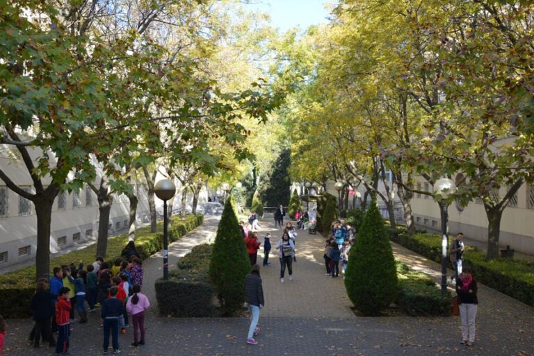La Facultad de Letras de la UCLM enseña a niños de Primaria sus derechos fundamentales a través del juego