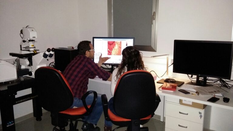 El ranking SCIMAGO muestra la consolidación de la producción científica de la UCLM