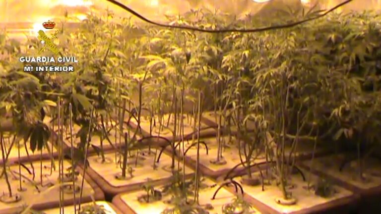 La Guardia Civil desarticula un laboratorio de droga en La Solana