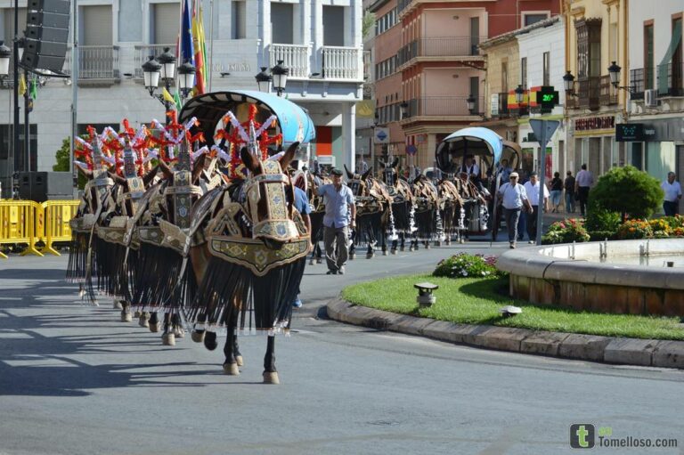 Las reatas toman las calles de Tomelloso