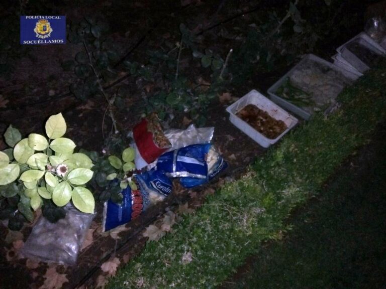 Cuatro detenidos tras robar en un bar de la feria de Socuéllamos