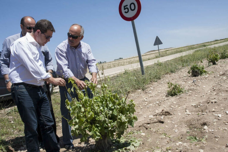 Page se compromete con los pueblos de La Mancha conquense afectados por el pedrisco a sacar líneas de ayudas directas a cooperativas y agricultores