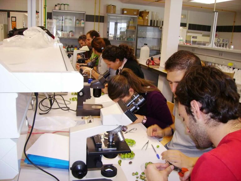 La Universidad de CLM destaca por la inserción laboral y el empleo de alta cualificación de sus titulados