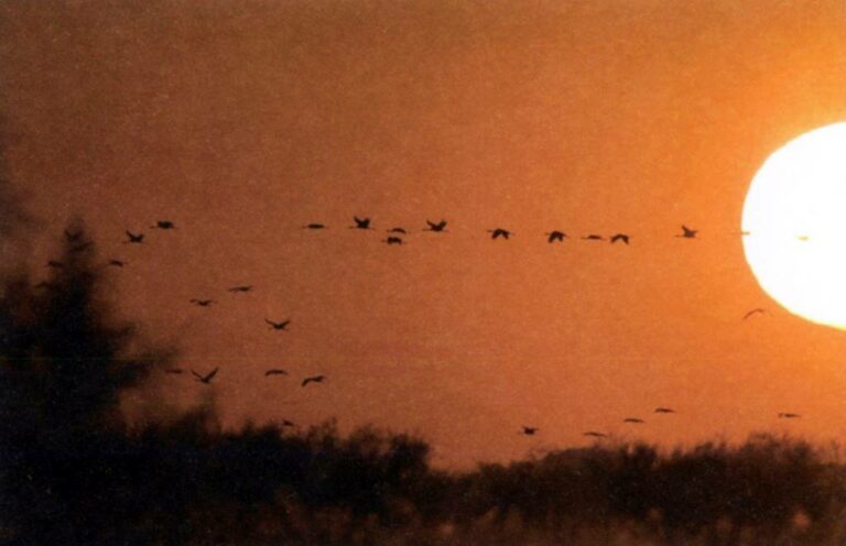 La UP de Tomelloso presenta una exposición de fotografías dentro de los actos de su 25 aniversario