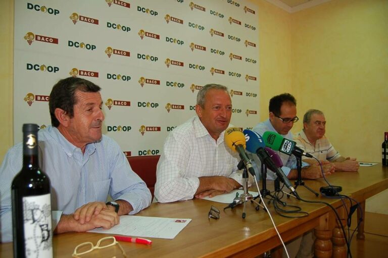 La sección de Vinos de Dcoop-Baco prevé 200 millones de kilos de uva para esta campaña