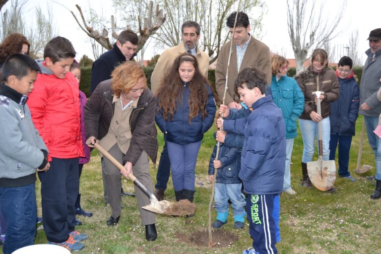 Castilla-La Mancha cuenta con el 45 por ciento de su superficie ocupada por masas forestales