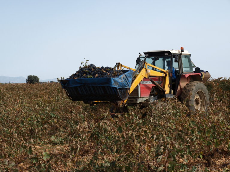 AMFAR apuesta por la incorporación de la mujer al sector agrario de Castilla-La Mancha