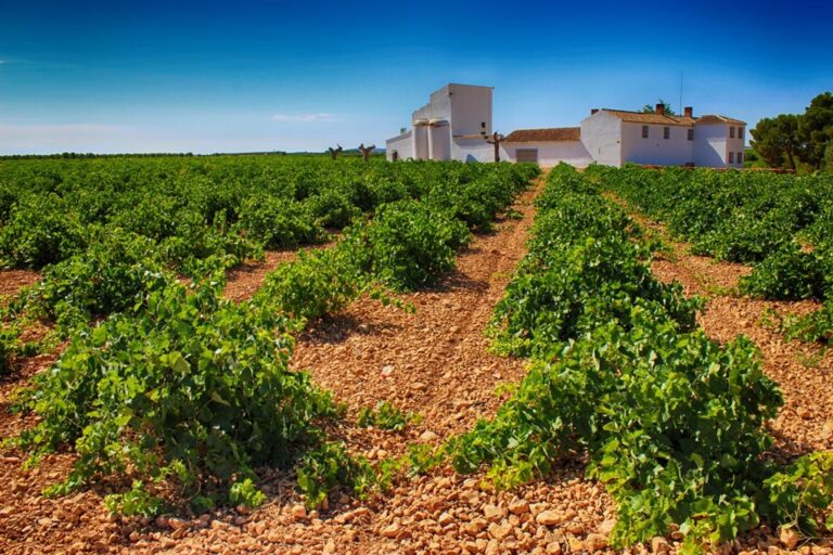 Verum V Reserva de Familia 2010 repite entre los mejores tempranillos del mundo