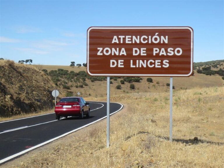 Nueve heridos, uno grave, en los seis accidentes registrados este fin de semana en C-LM