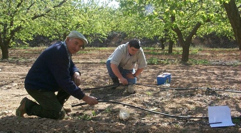 El Gobierno de Castilla-La Mancha actualizará la Ley de Protección Animal para ser un referente a nivel nacional