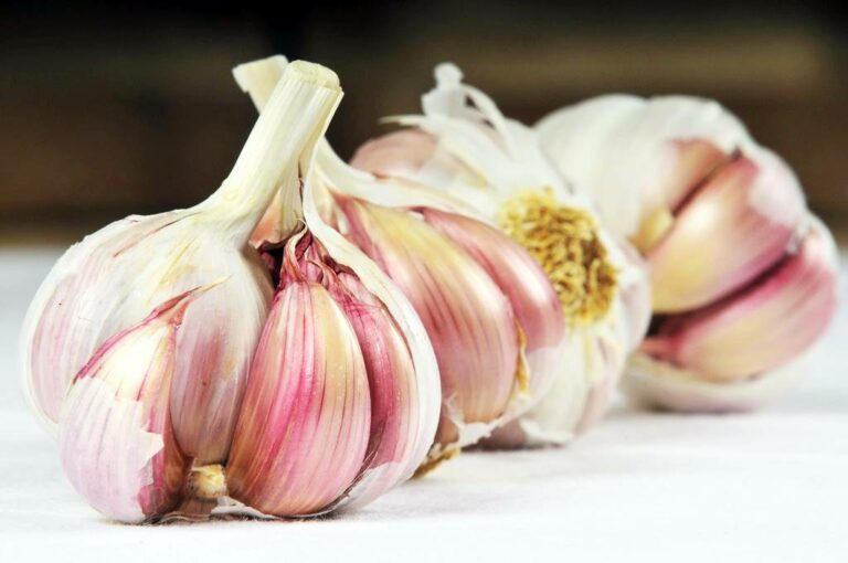 Ajo Morado de Las Pedroñeras cierra 2014 con cifra record de comercialización