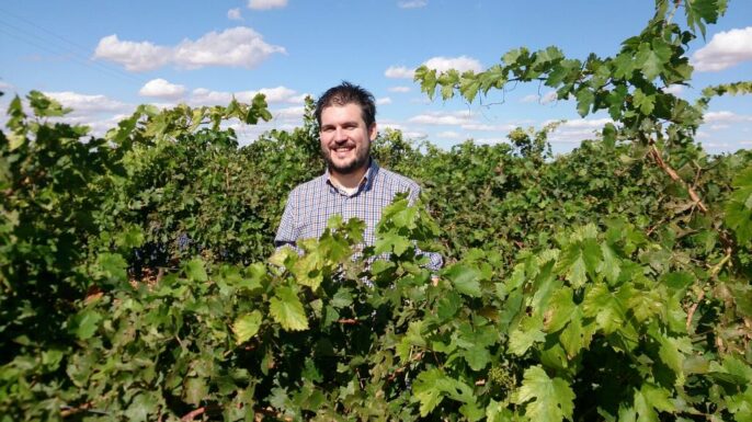 Para Bodegas Allozo, la vendimia 2015 va a proporcionar vinos de gran calidad