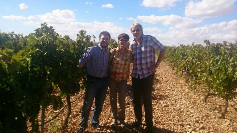 Para Bodegas Allozo, la vendimia 2015 va a proporcionar vinos de gran calidad