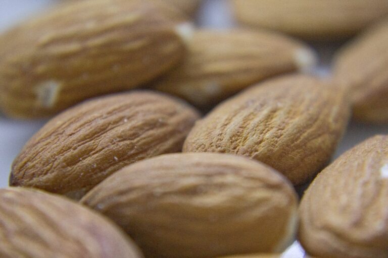 La producción de frutos secos en Castilla-La Mancha será esta campaña superior en más de un 30% a la campaña pasada