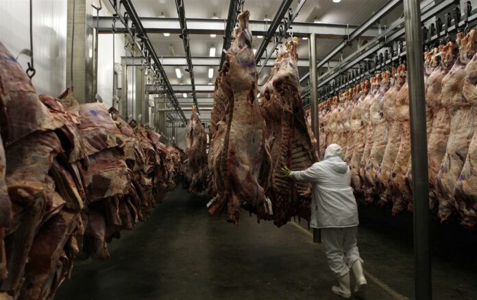 carne