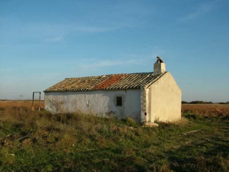 Rondeña (Una estampa manchega), por Francisco Navarro