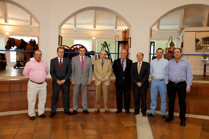 cervantes virgen de las viñas