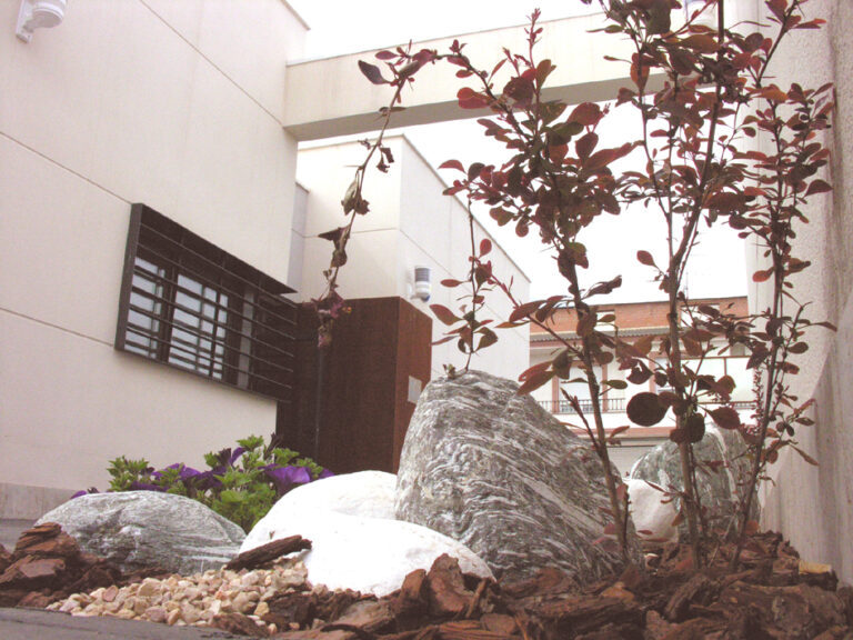 La semana próxima se abre la inscripción para la Semana Blanca del Centro Joven de Tomelloso