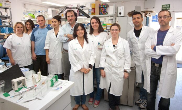 cientificos-paraplejicos