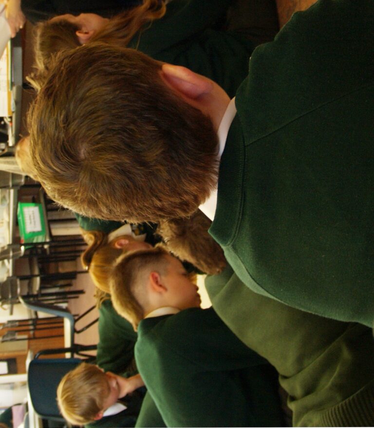 El PSOE presenta 43 enmiendas a la Ley de Protección a la Infancia