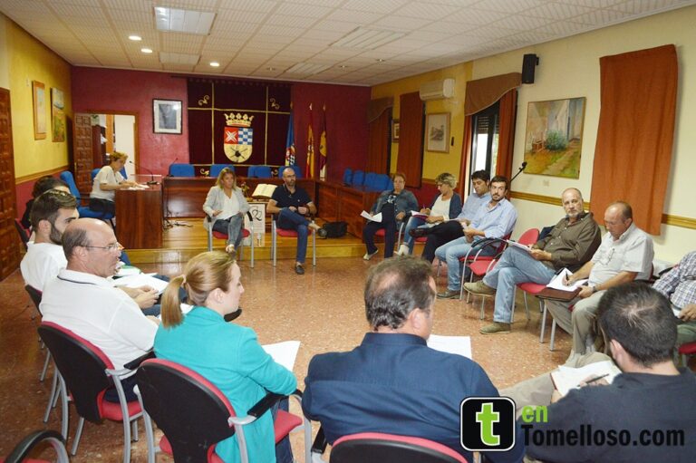 La Comisión de Seguimiento del Tren se reunió este miércoles en Argamasilla de Alba