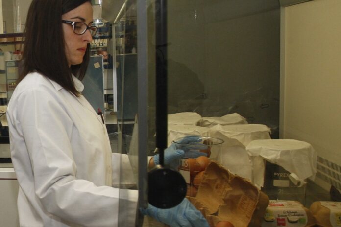 cooperativa agroalimentaria