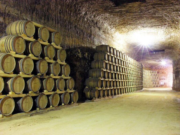 El Ayuntamiento de Tomelloso confía a RV Edipress la promoción de Tomelloso con la marca “Posada de vid y cultura”