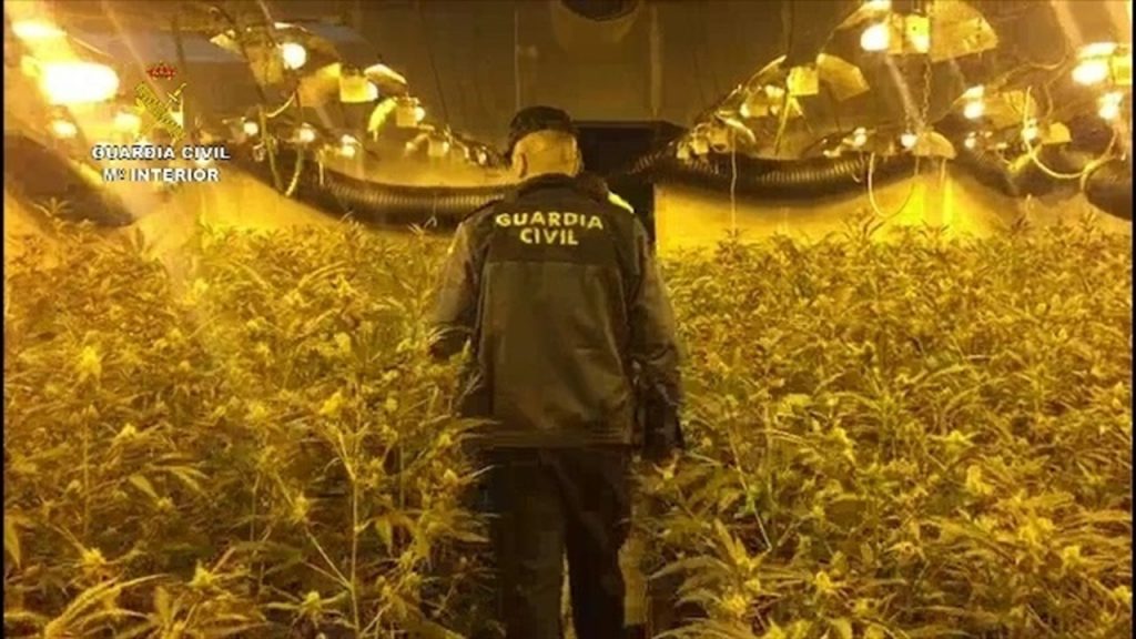 La Guardia Civil detiene a dos personas por cultivo de marihuana