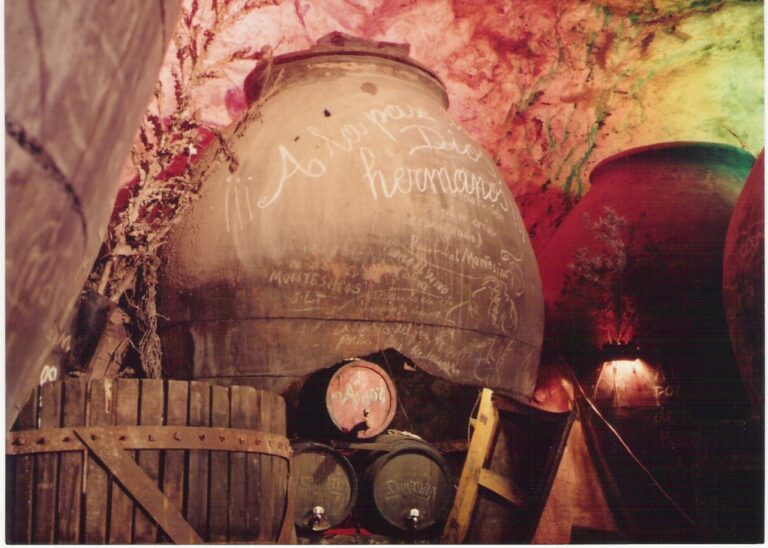 Cepeda y Bernao, entre los ganadores de la XLVII Cata del Vino Nuevo y Anochecer Poético ‘El Trascacho’
